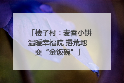 楼子村：麦香小饼温暖幸福院 撂荒地变“金饭碗”